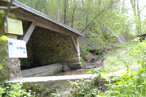 Photographie du lavoir de la source aux fées orientée Nord.